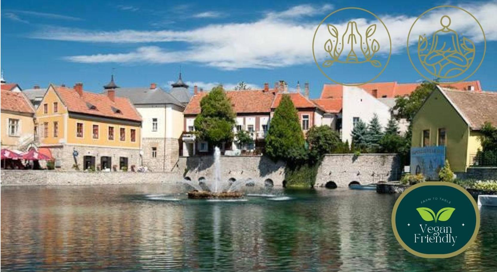 Malom-To Vendeghaz Tapolca Hotel Bagian luar foto